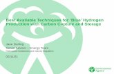 Best Available Techniques for ‘Blue’ Hydrogen Production ...