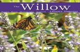 Willow Literary Magazine Willow - salve.edu