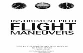 INSTRUMENT PILOT FLIGHT - actechbooks.com