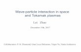 Wave-particle interaction in space and Tokamak plasmas
