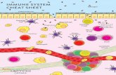 AL-Series WK-1 Immune-System-Cheat-Sheet