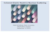 Coherent Elastic Neutrino-Nucleus Scattering