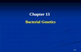chapter13 Bacterial genetics-5E1