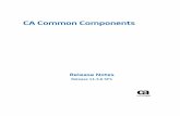 CA Common Components