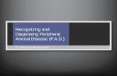 Recognizing and Diagnosing Peripheral Arterial Disease (PAD)