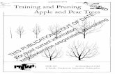 -4ECl/E>::8 Training and Pruning