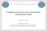 Insights from First Ever DoD-Wide Enterprise Audit