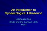 An Introduction to Gynaecological Ultrasound