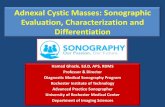 Adnexal Cystic Masses: Sonographic Evaluation ...