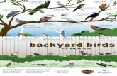 OF VICTORIA - Birds in Backyards