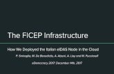 The FICEP Infrastructure