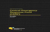 Global Humanitarian Assistance Central Emergency Response ...