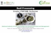 Basil Processing Under PMFME Scheme