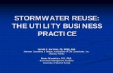 STORMWATER REUSE: THE UTILITY BUSINESS PRACTICE