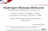 Hydrogen Release Behavior