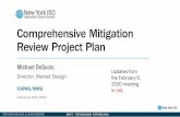 Comprehensive Mitigation Review Project Plan