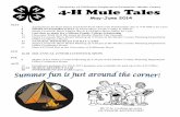 Modoc County 4-H Mule Tales - UCANR