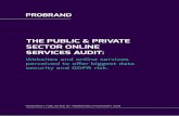 THE PUBLIC & PRIVATE SECTOR ONLINE SERVICES AUDIT