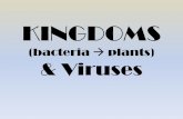 KINGDOMS & Viruses