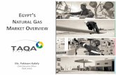 EGYPT S NATURAL GAS M OVERVIEW