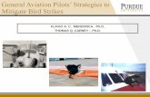 General Aviation Pilots' Strategies to Mitigate Bird Strikes
