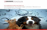 HYDRATION IN PETS Strategies To Manage Water Balance In ...