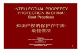 IP Protection in China HKCBA 2009-11-05