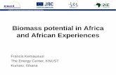 Biomass potential in Africa and African Experiences