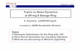 Topics on Beam Dynamics at SPring-8 Storage Ring