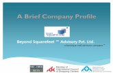 A Brief Company Profile - Beyond Squarefeet