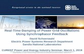 Real-Time Damping of Power Grid Oscillations Using ...