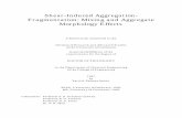 Shear-Induced Aggregation- Fragmentation -