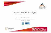 Bow-tie Risk Analysis