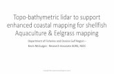 Topo-bathymetric lidar to support enhanced coastal mapping ...