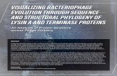 Visualizing Bacteriophage Evolution Through Sequence and ...