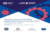 The jobs impact of COVID19: Rapid labour force survey (RLFS/E)