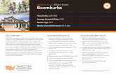 LifeMode Group: Affluent Estates 1C Boomburbs