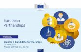 European Partnerships - Education