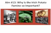 Aim #13: Why is the Irish Potato Famine so Important?