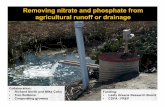 Removing nitrate and phosphate from agricultural runoff or drainage