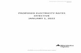 PROPOSED ELECTRICITY RATES EFFECTIVE JANUARY 1, 2022