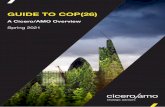 GUIDE TO COP(26) - Cicero Group
