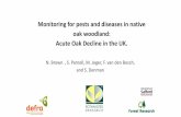 Monitoring for pests and diseases in native oak woodland ...