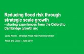Reducing flood risk through strategic scale growth
