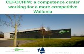 CEFOCHIM: a competence center working for a more ...