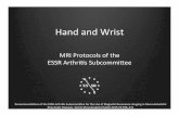 Hand and wrist g - European Society of Musculoskeletal ...