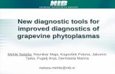 New diagnostic tools for improved diagnostics of grapevine ...