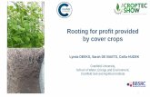 Rooting for profit provided by cover crops