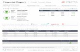 Financial Report Credit Report Data
