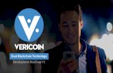 Dual Blockchain Technology - VeriConomy